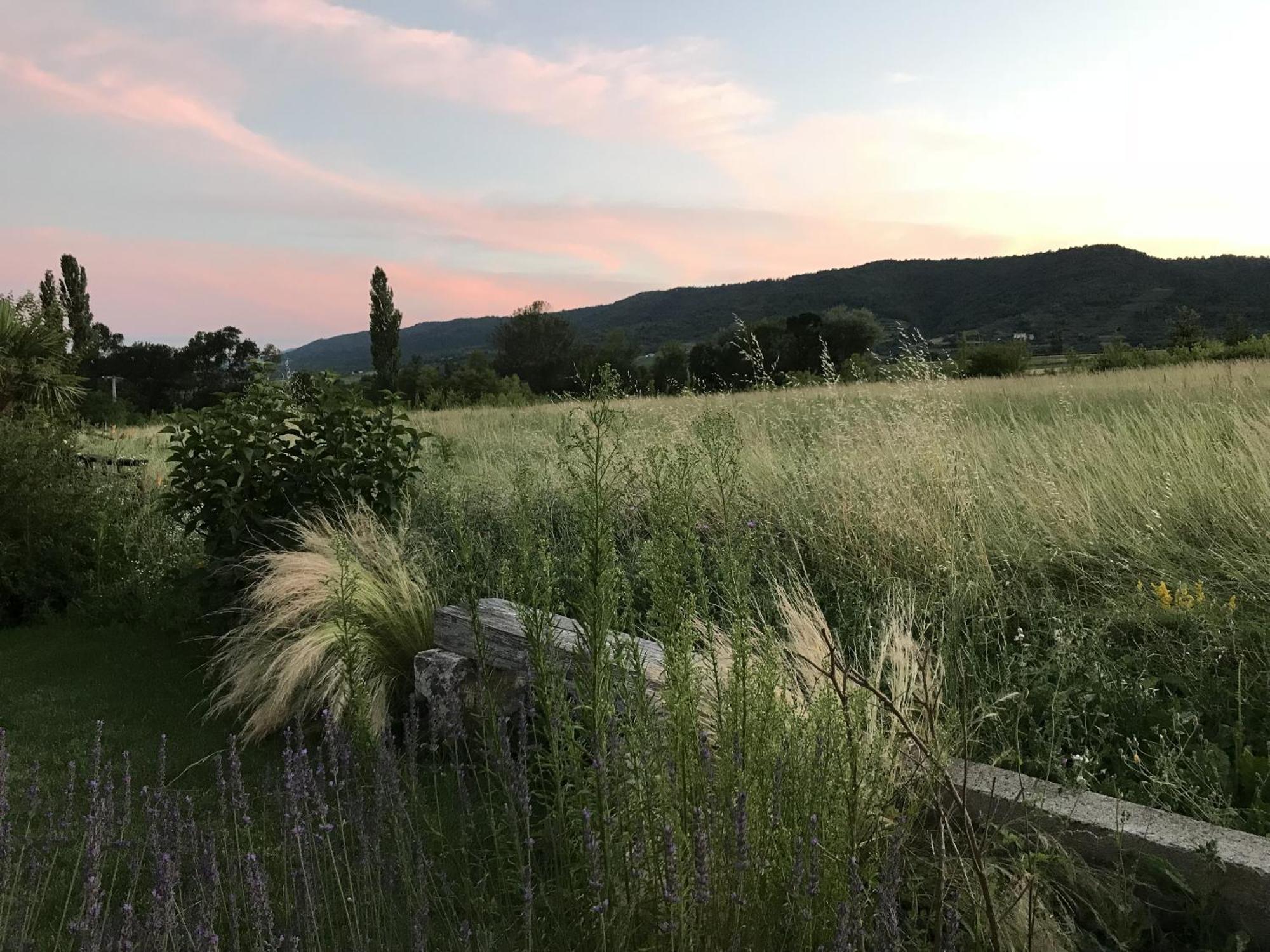 La Musardière Alba-la-Romaine
